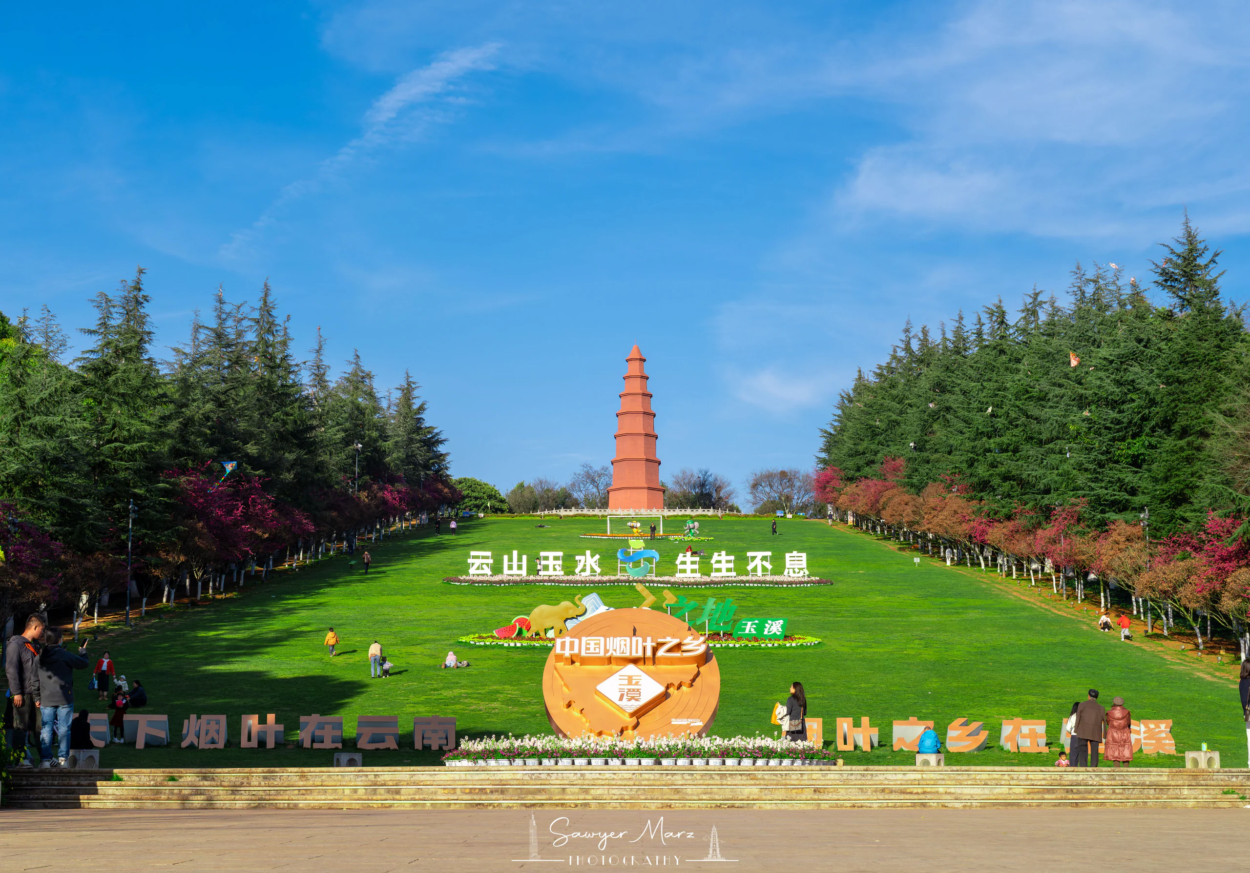 红塔山的春色,沿草坡铺开